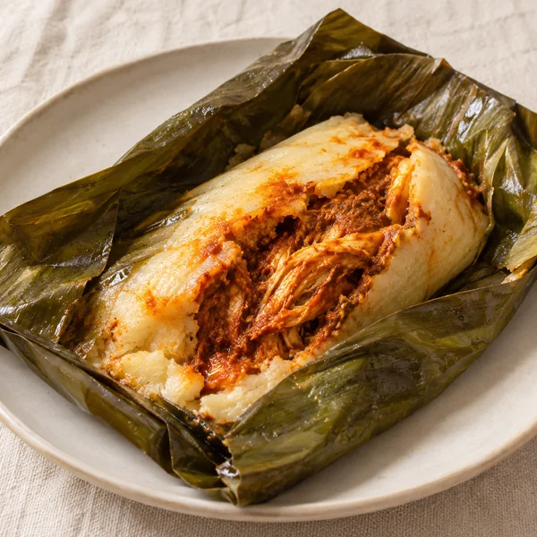 Illustration of Oaxacan Tamale