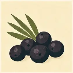 Acai