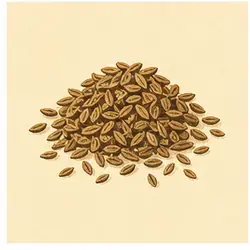 Ajwain