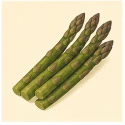 Asparagus