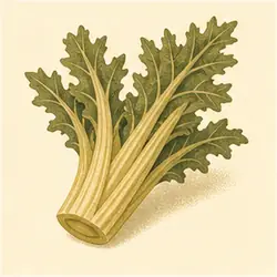 Cardoon
