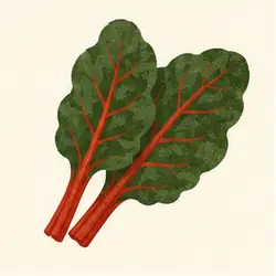 Swiss Chard