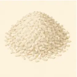 Coconut Flakes