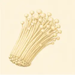 Enoki Mushroom