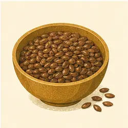 Flax Seeds