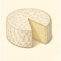 Goat Cheese
