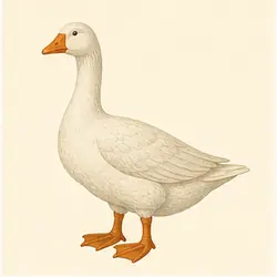 Whole Goose