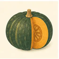 Kabocha