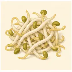 Mung Bean Sprouts