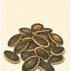 Watermelon Seeds